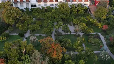 Majestic Palace