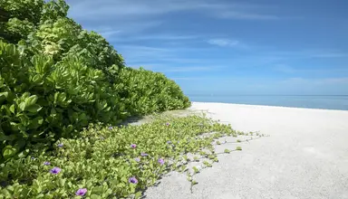 Makunudu Island