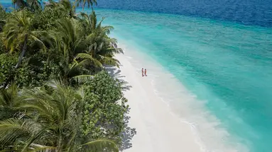 Malahini Kuda Bandos