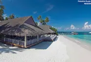 Malahini Kuda Bandos