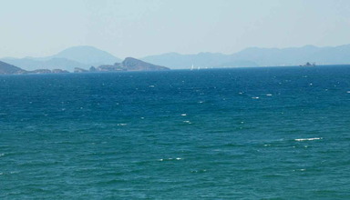 Manas Park Calis