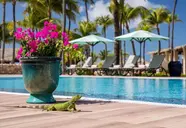 Manchebo Beach Resort