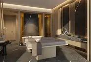 Mandarin Oriental Downtown, Dubai