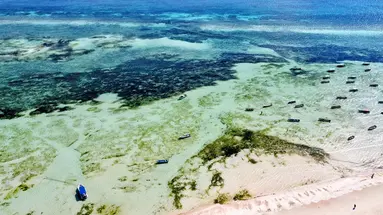 Mandarin Resort Zanzibar