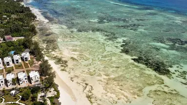 Mandarin Resort Zanzibar