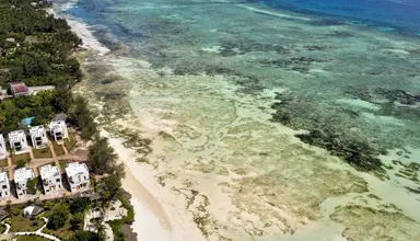 Mandarin Resort Zanzibar