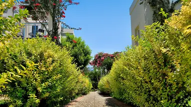 Mandarin Resort