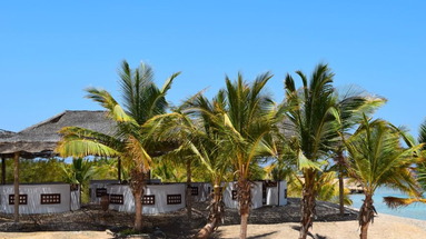Mangrove Bay Resort