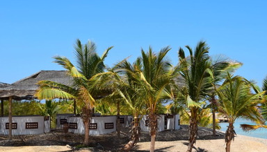 Mangrove Bay Resort