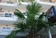 Mano