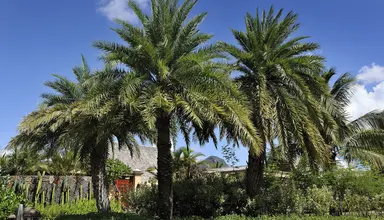 Maradiva Villas Resort & Spa