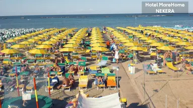 Mare Home