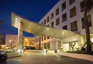 Maria Nova Lounge