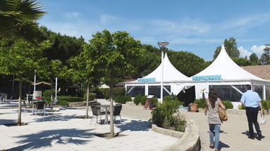 Marina d'Oru