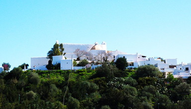 Marina Panorama