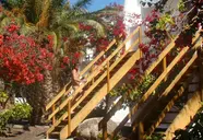 Marina Playa Suites