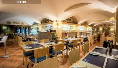 Maritim Antonine & SPA