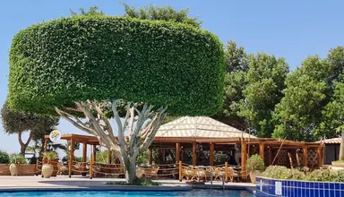 Marriott Hurghada Beach Resort