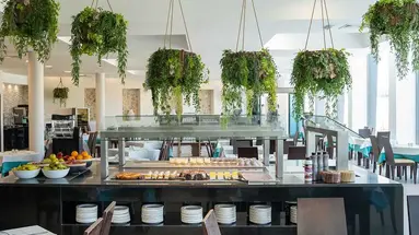 MarSenses Ferrera Blanca Family