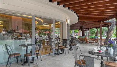 Marti Myra