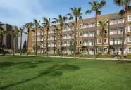 Marvida Family Eco