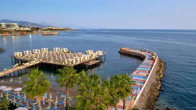 Mary Alanya