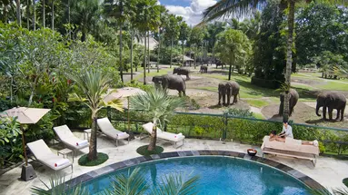 Mason Elephant Park & Lodge