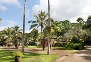 Mason Elephant Park & Lodge