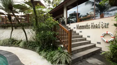 Mason Elephant Park & Lodge