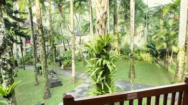 Mason Elephant Park & Lodge