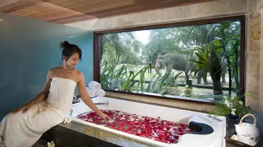 Mason Elephant Park & Lodge
