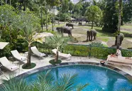 Mason Elephant Park & Lodge
