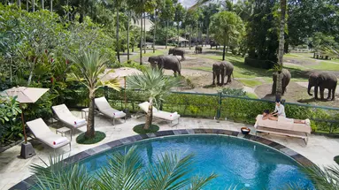 Mason Elephant Park & Lodge
