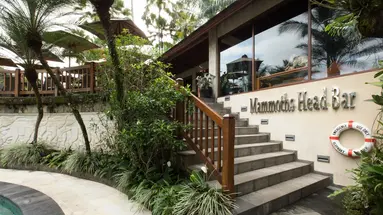 Mason Elephant Park & Lodge