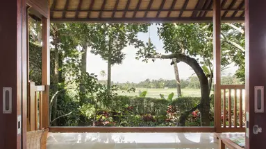Mason Elephant Park & Lodge
