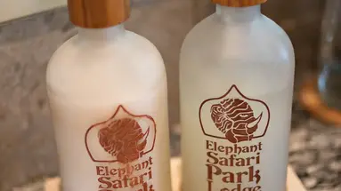 Mason Elephant Park & Lodge