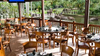 Mason Elephant Park & Lodge