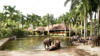 Mason Elephant Park & Lodge