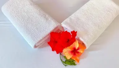 Max (Zanzibar)