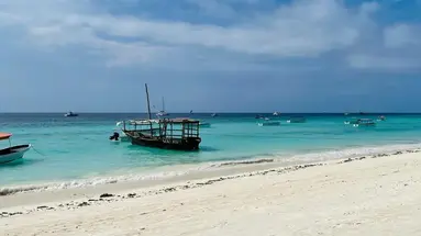 Max (Zanzibar)