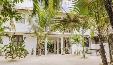 Max (Zanzibar)