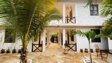 Max (Zanzibar)