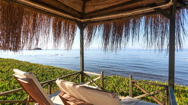 Maxima Paradise