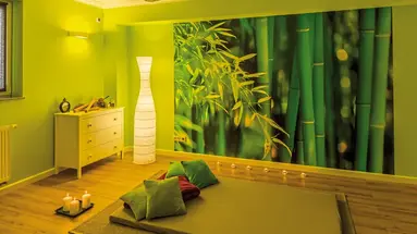 Maximus SPA