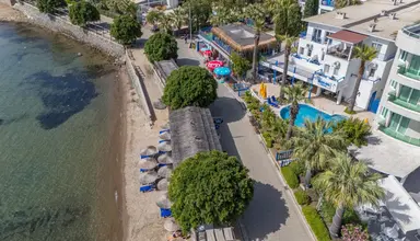 Maxsea Beach