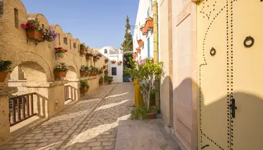 Medina Diar Lemdina
