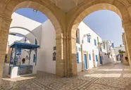Medina Diar Lemdina