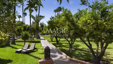 Medina Gardens