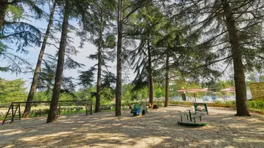 Mediteran Plava Laguna
