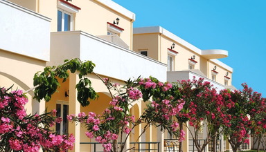 Mediterranean